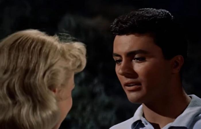 L’acteur
      James
      Darren,
      star
      des
      comédies
      romantiques
      des
      années
      1950,
      décède
      à
      88
      ans