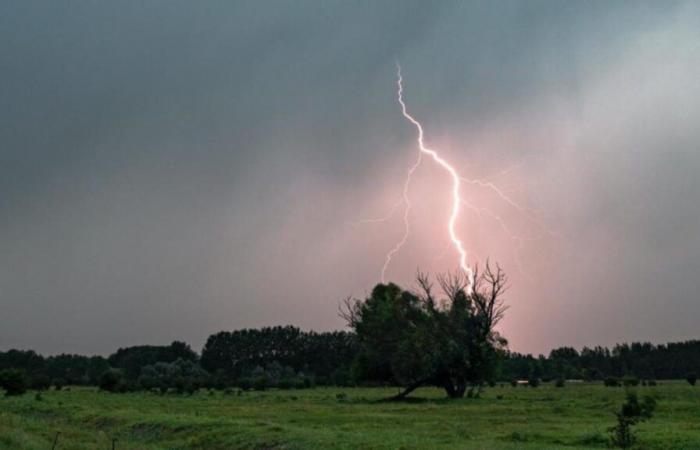 Fort
      orage
      ce
      samedi
      –
      Mon
      Blog