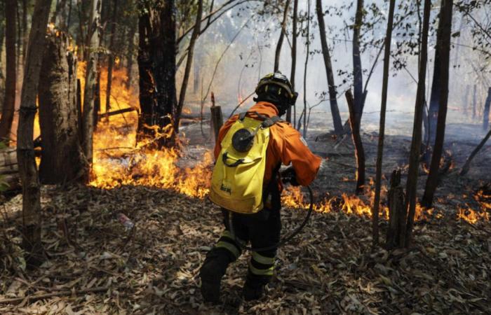 Au
      Brésil,
      l’humidité
      chute
      à
      des
      niveaux
      inquiétants,
      «
      aussi
      bas
      »
      que
      dans
      le
      Sahara
      –
      Mon
      Blog