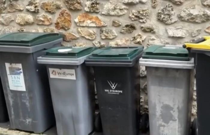 Des
      puces
      électroniques
      sur
      les
      poubelles
      pour
      mieux
      organiser
      les
      collectes