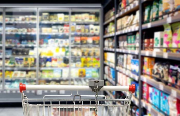 Les
      prix
      mondiaux
      des
      denrées
      alimentaires
      chutent
      en
      août,
      à
      l'exception
      du
      beurre
      qui
      atteint
      un
      niveau
      record