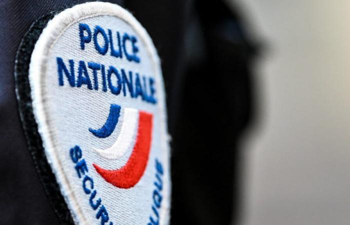 Arrestation
      d'un
      homme
      soupçonné
      de
      multiples
      agressions
      sexuelles
      au
      Bois
      de
      Vincennes