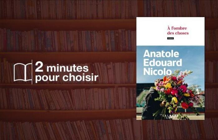 Nous
      avons
      lu
      «
      À
      l’ombre
      des
      choses
      »,
      le
      premier
      roman
      d’Anatole
      Edouard
      Nicolo
      –
      Mon
      Blog