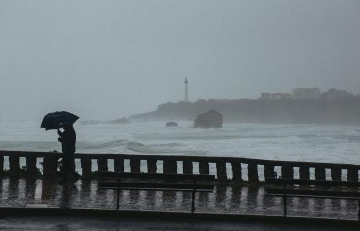 Sept
      départements
      du
      Sud-Ouest
      désormais
      en
      alerte
      orange
      pour
      pluies-inondations
      ou
      inondations