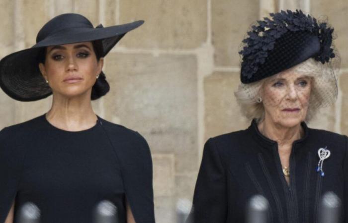 Ces
      «
      signaux
      »
      subtils
      que
      Camilla
      a
      utilisés
      pour
      envoyer
      un
      message
      à
      propos
      de
      la
      femme
      d’Harry