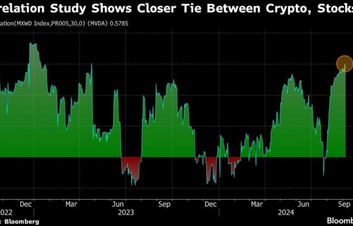 Le
      Bitcoin
      tombe
      à
      son
      plus
      bas
      niveau
      depuis
      un
      mois
      alors
      que
      les
      données
      sur
      l’emploi
      déclenchent
      la
      volatilité
      –
      Mon
      blog