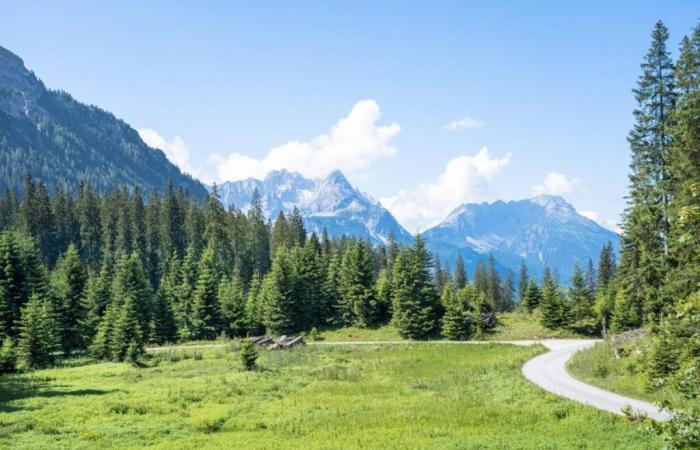 Une
      femme
      de
      19
      ans
      accouche
      dans
      les
      Pyrénées
      à
      1
      700
      m
      d'altitude