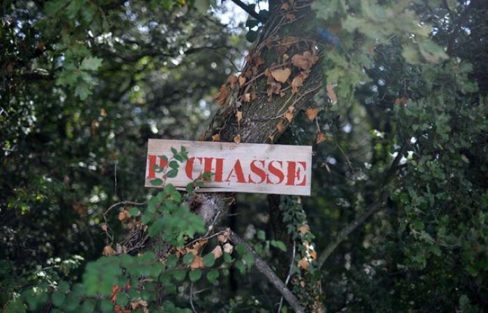 Balle
      dans
      le
      pied,
      attaque
      de
      sanglier…
      deux
      blessés
      avant
      même
      l’ouverture
      de
      la
      chasse