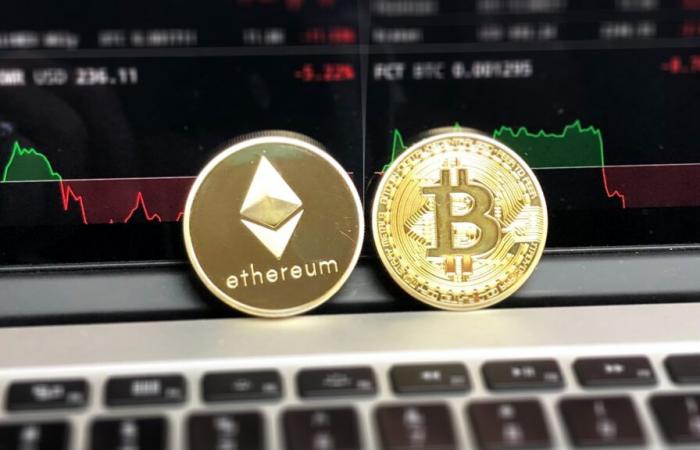 Deux
      dirigeants
      de
      l'ancienne
      plateforme
      d'investissement
      en
      cryptomonnaies
      Omegapro
      arrêtés
      en
      Turquie