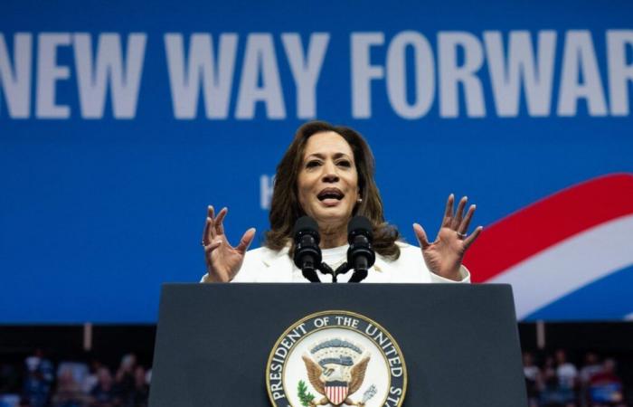 Kamala
      Harris
      sur
      les
      traces
      de
      Reagan
      en
      1984
      –
      Mon
      Blog