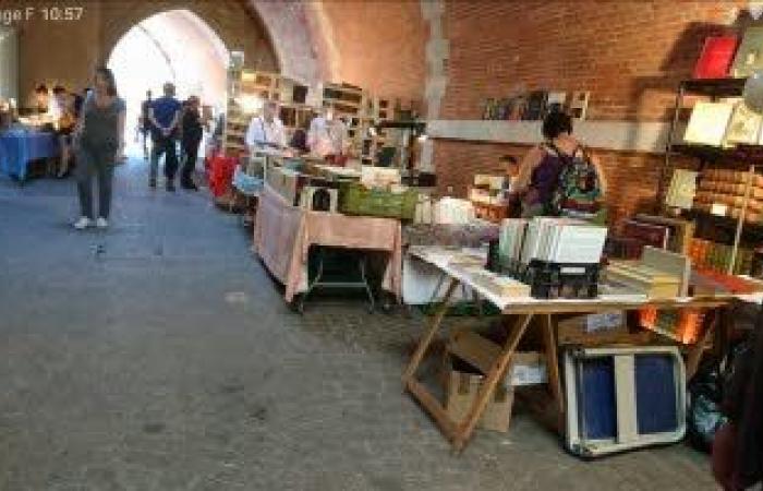 Bourse
      aux
      livres
      à
      Nancy