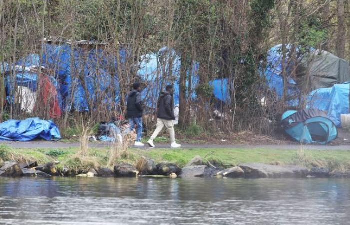 Des
      migrants
      trouvent
      refuge
      dans
      une
      forêt,
      la
      police
      intervient
      –
      ​​Mon
      Blog