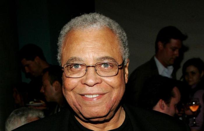 James
      Earl
      Jones,
      acteur
      et
      doubleur
      de
      Dark
      Vador,
      récompensé
      aux
      Tony
      Awards,
      décède
      à
      l'âge
      de
      93
      ans