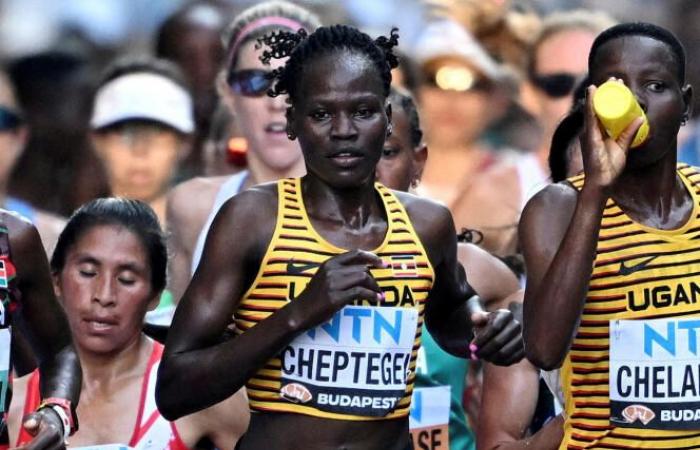 Le
      suspect
      du
      meurtre
      de
      la
      marathonienne
      Rebecca
      Cheptegei
      est
      décédé
      des
      suites
      de
      brûlures