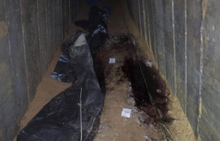 Israël
      diffuse
      des
      images
      du
      tunnel
      où
      sont
      morts
      les
      otages
      tués
      à
      Gaza
      –
      Libération