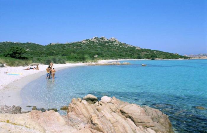 Pour
      sauver
      les
      plages
      de
      La
      Maddalena,
      venez
      nager