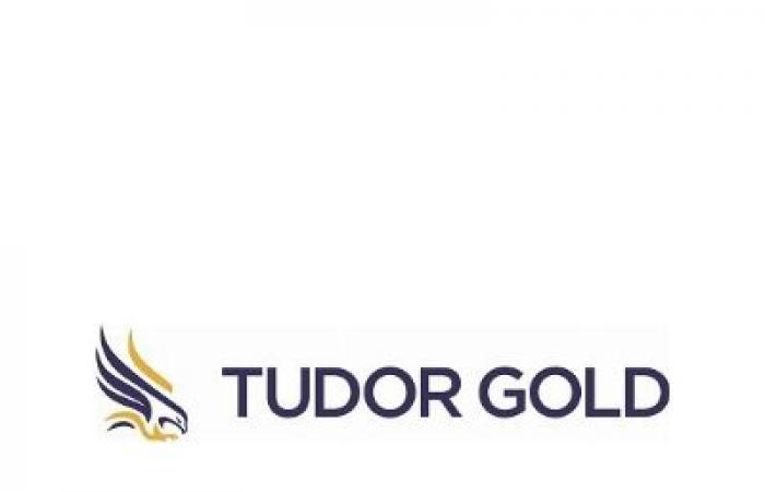 Tudor
      Gold
      va
      prolonger
      ses
      bons
      de
      souscription
      –
      Mon
      blog