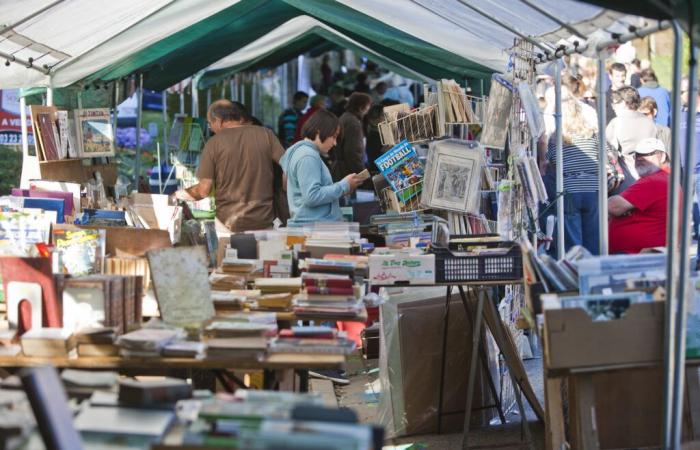 Les
      services
      départementaux
      au
      Festival
      du
      Livre
      de
      Merlieux