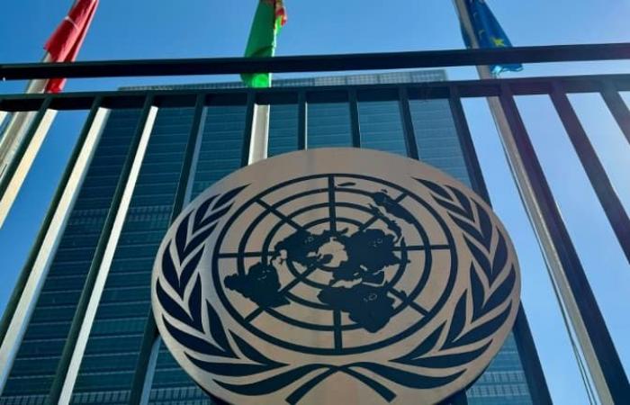 L'ONU
      affirme
      qu'un
      convoi
      de
      l'ONU
      a
      été
      arrêté
      sous
      la
      menace
      d'une
      arme
      par
      l'armée
      israélienne
      à
      Gaza