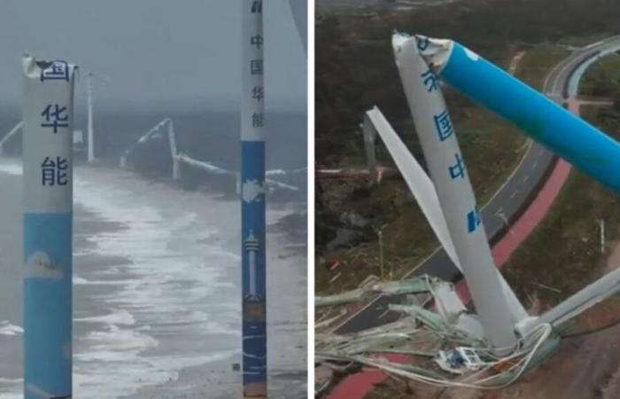 Le
      typhon
      Yagi
      détruit
      des
      éoliennes
      «
      résistantes
      aux
      tempêtes
      »
      en
      Chine
      –
      Mon
      blog