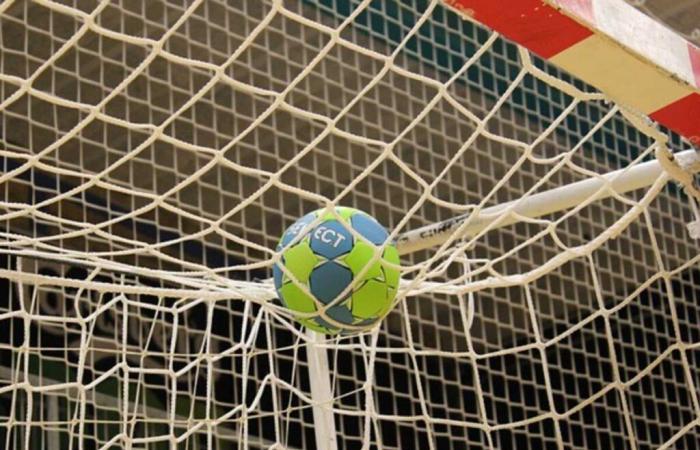 La
      trésorière
      détourne
      180
      000
      euros
      de
      son
      club
      de
      handball
      pour
      vivre
      dans
      le
      luxe