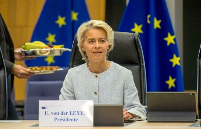 Le
      projet
      ambitieux
      d'Ursula
      von
      der
      Leyen
      –
      Mon
      blog