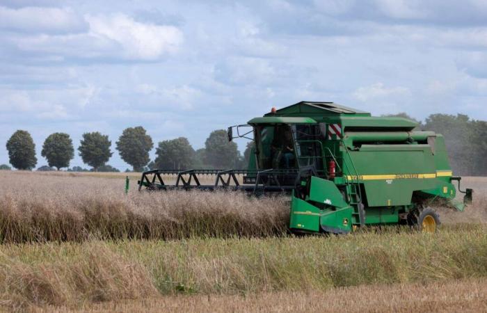 Les
      biocarburants
      critiqués
      pour
      leur
      impact
      sur
      la
      sécurité
      alimentaire
      et
      le
      climat