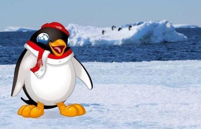 Le
      pingouin
      Adélie,
      mascotte
      de
      la
      prochaine
      édition
      pour
      dénoncer
      la
      fonte
      des
      glaces