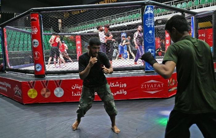 Après
      l'interdiction
      du
      MMA,
      les
      rêves
      des
      athlètes
      afghans
      s'effondrent