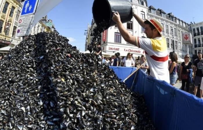 Qu'adviendra-t-il
      des
      coquilles
      de
      moules
      de
      cette
      édition
      2024
      ?