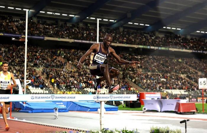 Serem
      surprend
      El
      Bakkali
      tandis
      que
      Moraa
      termine
      la
      saison
      en
      beauté
      en
      finale
      de
      la
      Diamond
      League
      de
      Bruxelles