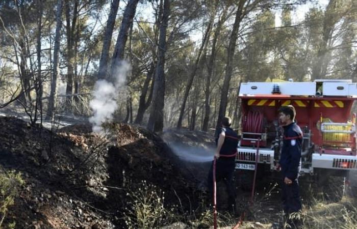 plusieurs
      incendies
      signalés
      dans
      les
      Pyrénées-Orientales
      ce
      samedi
      –
      Mon
      Blog