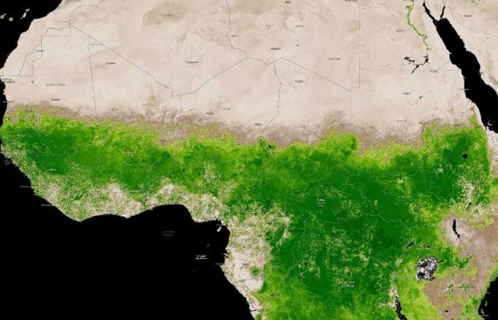 Le
      désert
      du
      Sahara
      se
      verdit
      alors
      que
      des
      tempêtes
      inhabituelles
      frappent
      certaines
      régions
      d'Afrique