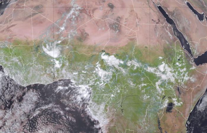 Le
      désert
      du
      Sahara
      se
      verdit
      alors
      que
      des
      tempêtes
      inhabituelles
      frappent
      certaines
      régions
      d'Afrique