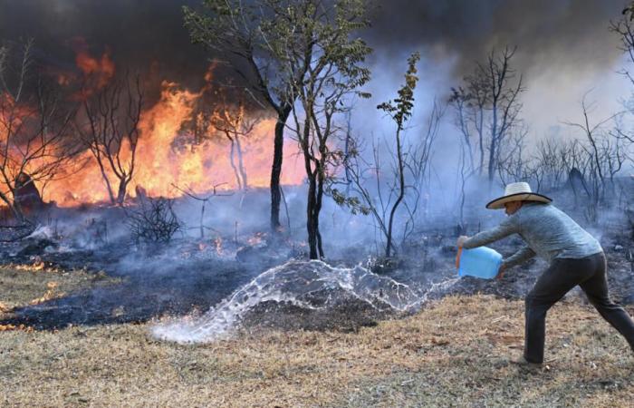 Le
      parc
      national
      de
      Brasilia
      ravagé
      par
      les
      flammes
      –
      Mon
      blog