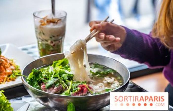 Viet 1331, le nouveau restaurant karaoké vietnamien immersif du 13e arrondissement