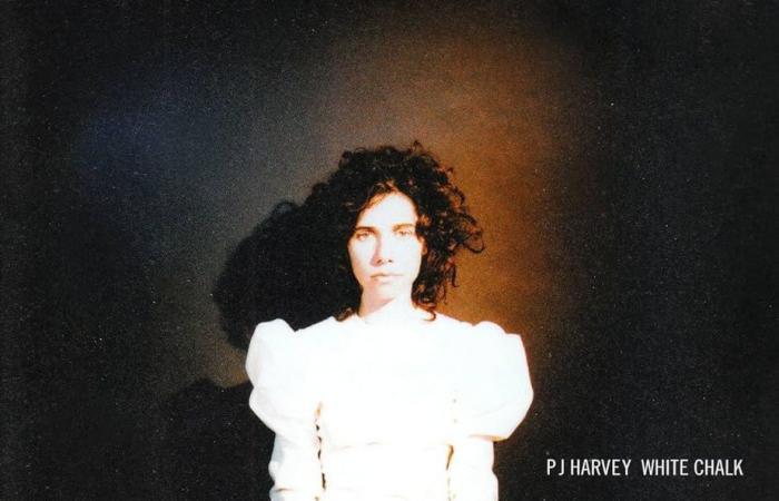 Par où commencer ? | (Re)découvrez PJ Harvey