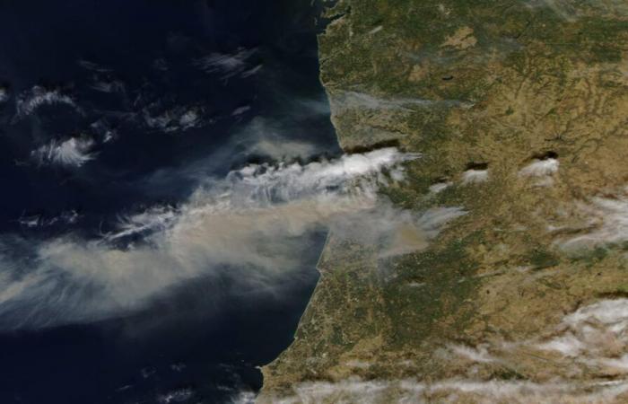 Des images satellite impressionnantes d’incendies de forêt depuis l’espace