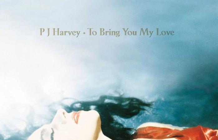 Par où commencer ? | (Re)découvrez PJ Harvey