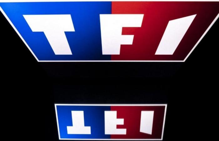 pourquoi vous pourrez bientôt regarder les contenus d’Arte sur les plateformes TF1 et France Télévisions