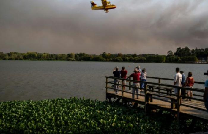 Le Portugal continue de lutter contre de violents incendies de forêt : Actualités