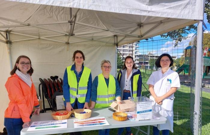 À Saint-Lô, participez à un défi sportif pour lutter contre la maladie d’Alzheimer