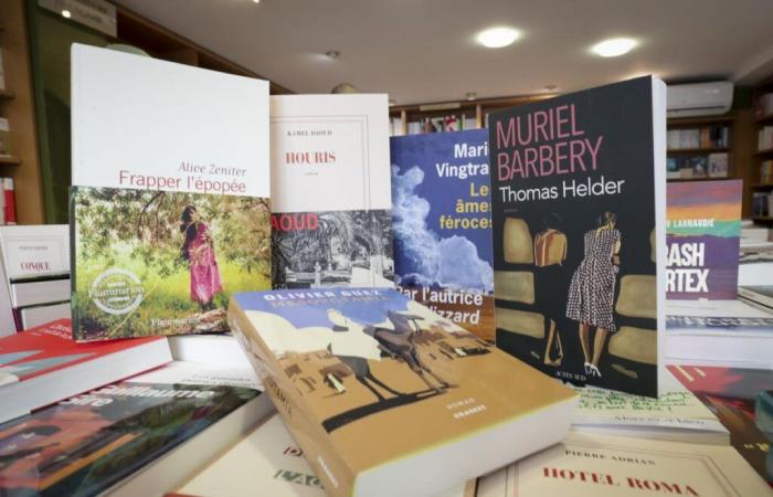 Literary rentrée in Pau: booksellers’ favorites