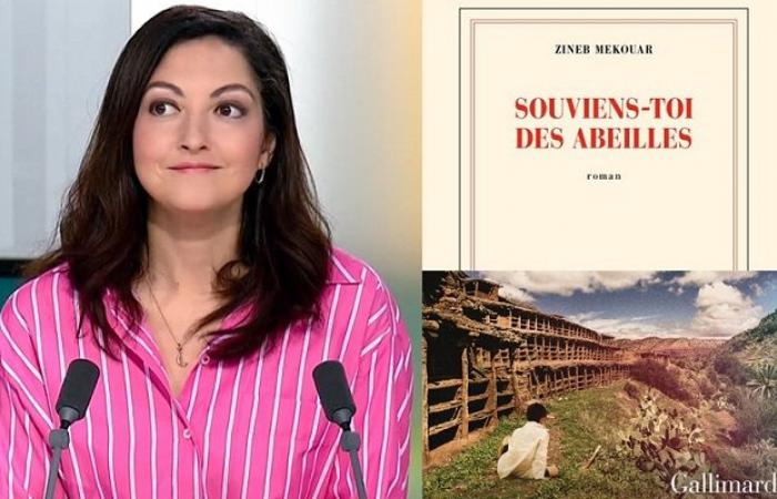 « Souviens-toi des abeilles » de Zineb Mekouar présenté à l’UNESCO