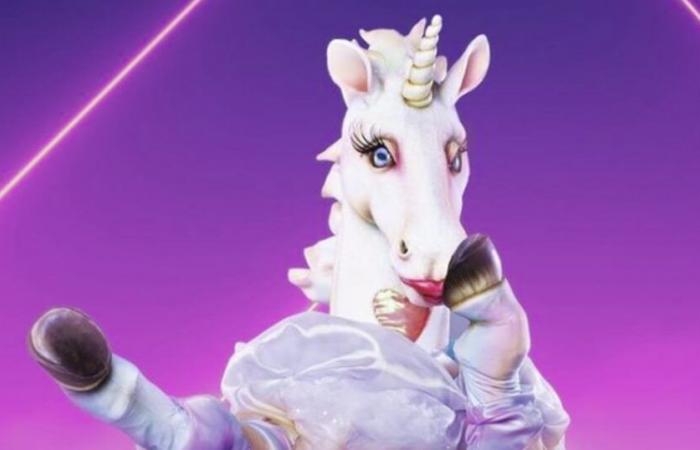 Les fans de Masked Singer sont unanimes et ils pensent savoir qui se cache sous la Licorne