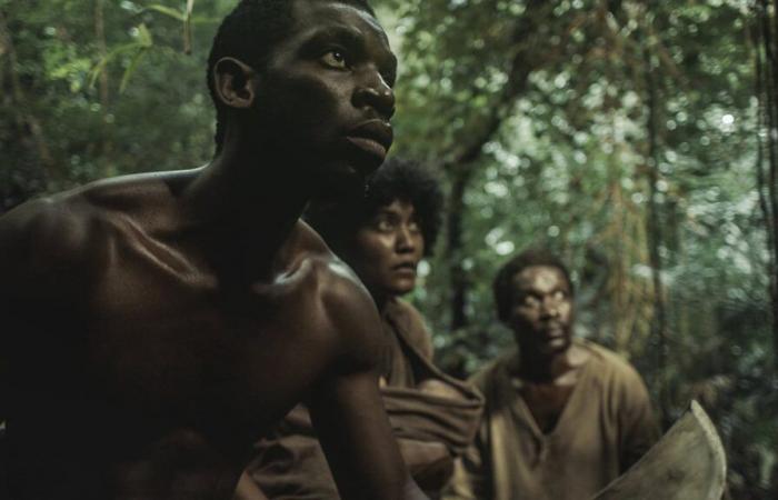 « Ni chaînes, ni maîtres », enfin un film français sur la révolte des esclaves