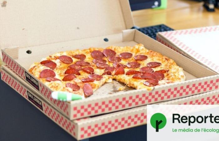 Boîtes à pizza, poêles… Notre corps exposé à 3 601 substances chimiques