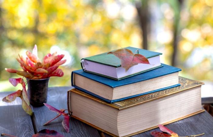 5 livres à acheter cet automne avec l’offre Fnac : 1 acheté, 1 offert