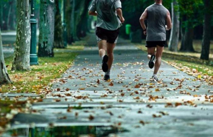 un parcours sportif entre nature et ville à travers la Seine-Saint-Denis