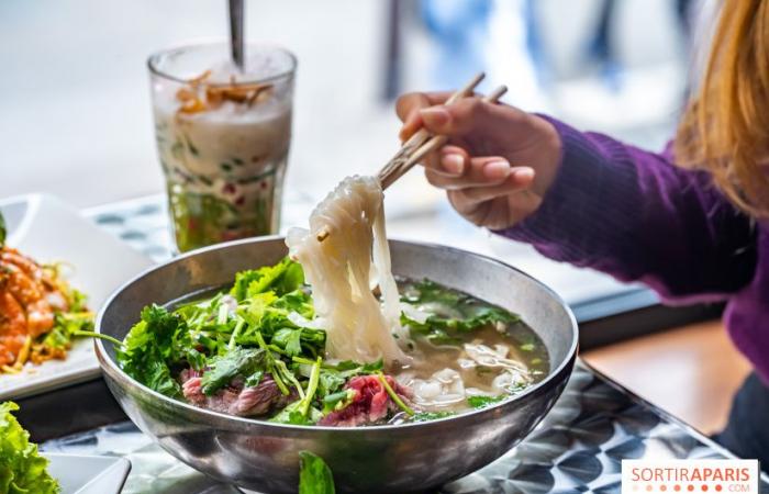 Viet 1331, le nouveau restaurant karaoké vietnamien immersif du 13e arrondissement